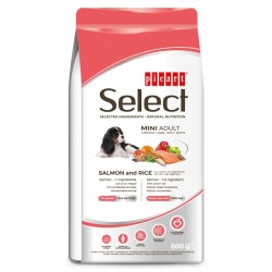 Select- Mini Adulto Salmão